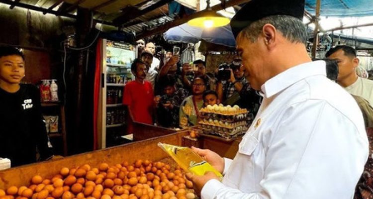 Mentan Soroti Harga Minyak Goreng. Foto : viralsumsel.com