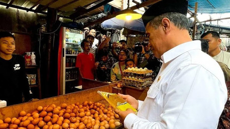 Mentan Soroti Harga Minyak Goreng. Foto : viralsumsel.com