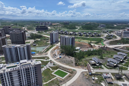 PTPP Percepat Pembangunan Jalan West Residence IKN, Progres Tembus 65,85%. Foto : viralsumsel.com