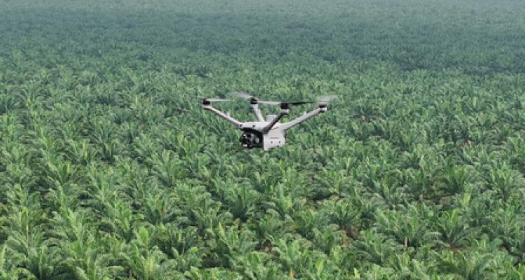 Pemantauan Keamanan Hutan dan Deteksi Kebakaran Lahan dengan DJI Dock 3. Foto; viralsumsel.com