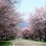 Rekomendasi Event Lari Maraton & Jalan Santai di Hokkaido. Foto : viralsumsel.com