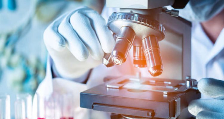 Prodia Hadirkan Advanced Lipid Profile dengan Report Komprehensif, Bantu Masyarakat Pahami Arti di Balik Angka Kolesterol. Foto: viralsumsel.com