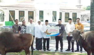 Bank-Sumsel-Babel-Iduladha-Kurban Iduladha 1447 H, Bank Sumsel Babel Salurkan Hewan Kurban untuk Masyarakat di Sumsel dan Babel