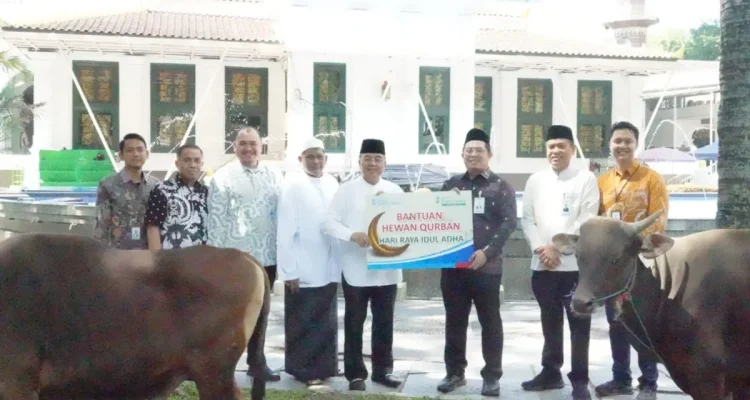 Iduladha 1447 H, Bank Sumsel Babel Salurkan Hewan Kurban untuk Masyarakat di Sumsel dan Babel