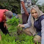 Anggota DPD RI Hj Eva Susanti Serap Aspirasi Petani di Ogan Ilir, Warga Curhat Pupuk Subsidi hingga Infrastruktur Desa yang Rusak