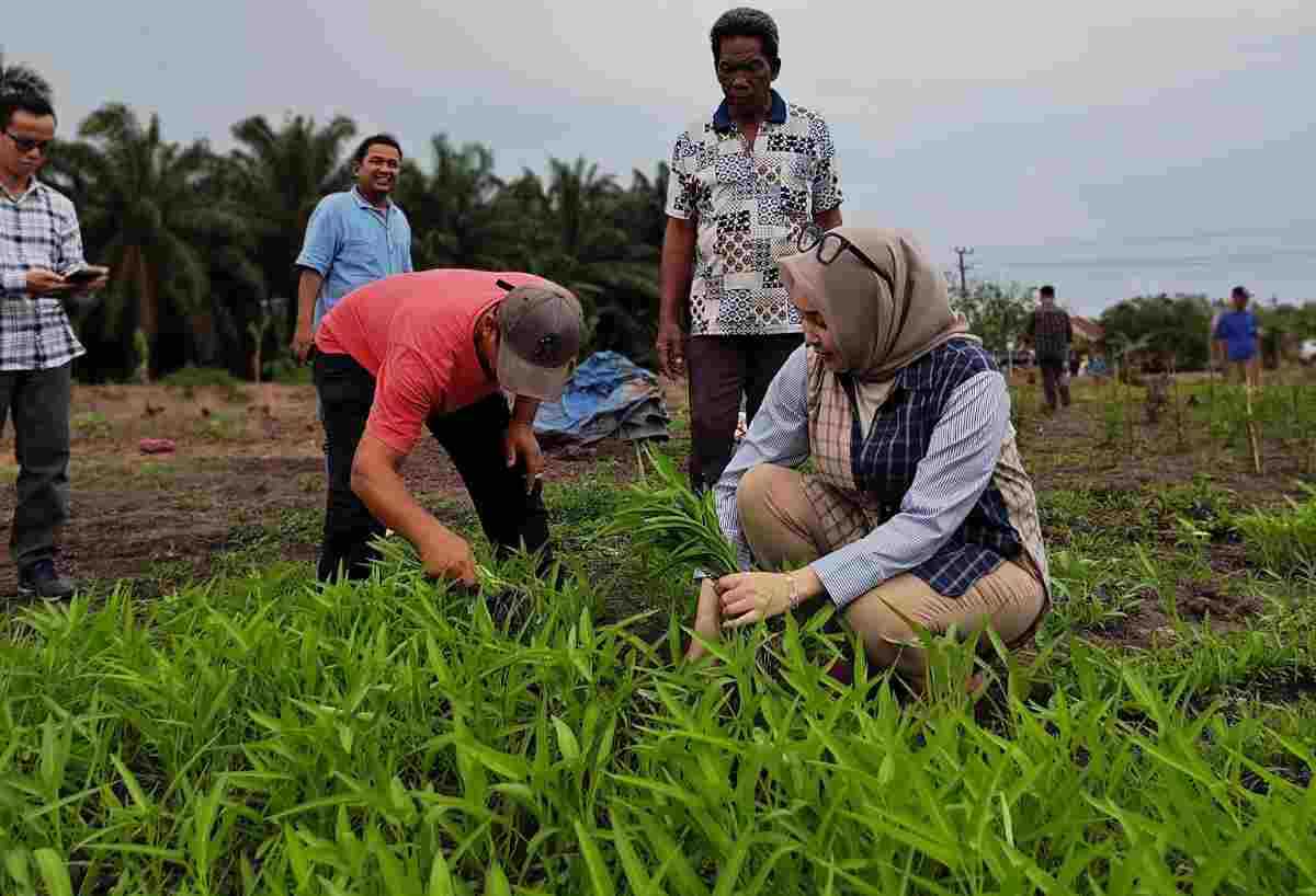 Anggota DPD RI Hj Eva Susanti Serap Aspirasi Petani di Ogan Ilir, Warga Curhat Pupuk Subsidi hingga Infrastruktur Desa yang Rusak