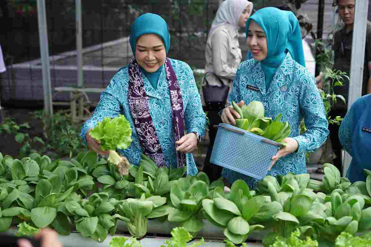 Ketua TP PKK Sumsel Feby Deru Dorong Kebun Wisata dan Desa Percontohan Saat Kunjungan ke OKI