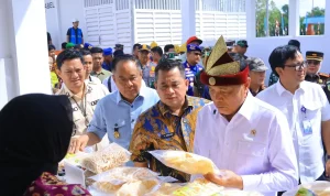 Wagub Sumsel Cik Ujang Dampingi Menko Polkam Tinjau Kampung Nelayan Sungsang, Dorong Infrastruktur Nelayan Makin Kuat