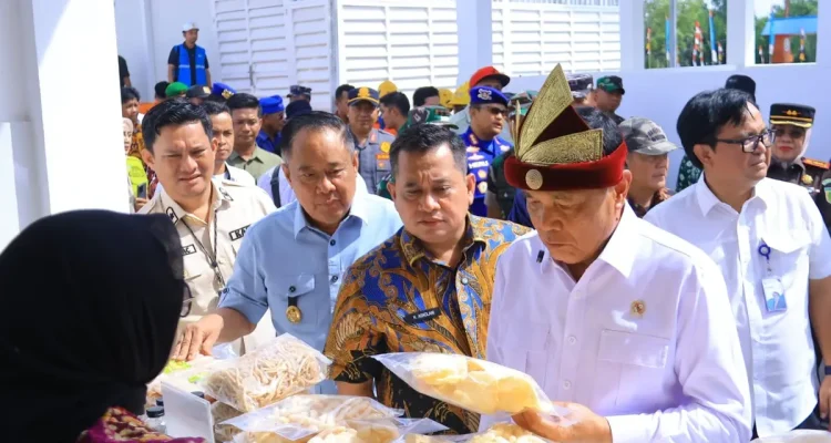 Wagub Sumsel Cik Ujang Dampingi Menko Polkam Tinjau Kampung Nelayan Sungsang, Dorong Infrastruktur Nelayan Makin Kuat