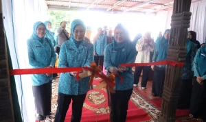 Ketua TP PKK Sumsel Feby Deru Resmikan Rumah Dilan Naga Berkarya di OKU