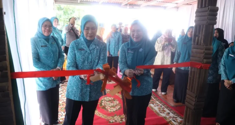 Ketua TP PKK Sumsel Feby Deru Resmikan Rumah Dilan Naga Berkarya di OKU