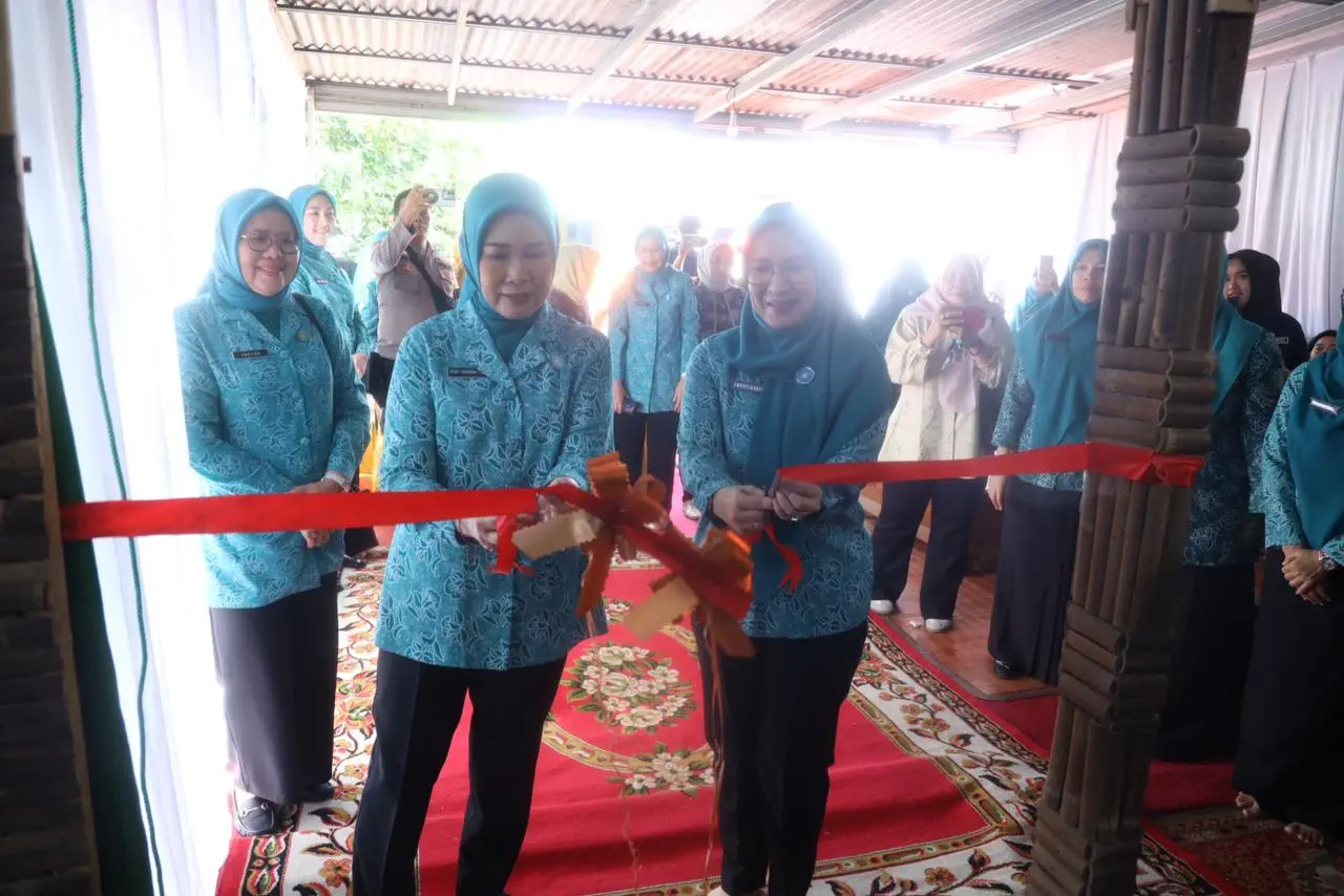 Ketua TP PKK Sumsel Feby Deru Resmikan Rumah Dilan Naga Berkarya di OKU