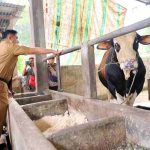 Pemkot Palembang Pastikan Sembako Aman hingga Akhir 2026, Pengawasan Hewan Kurban Diperketat Jelang Iduladha