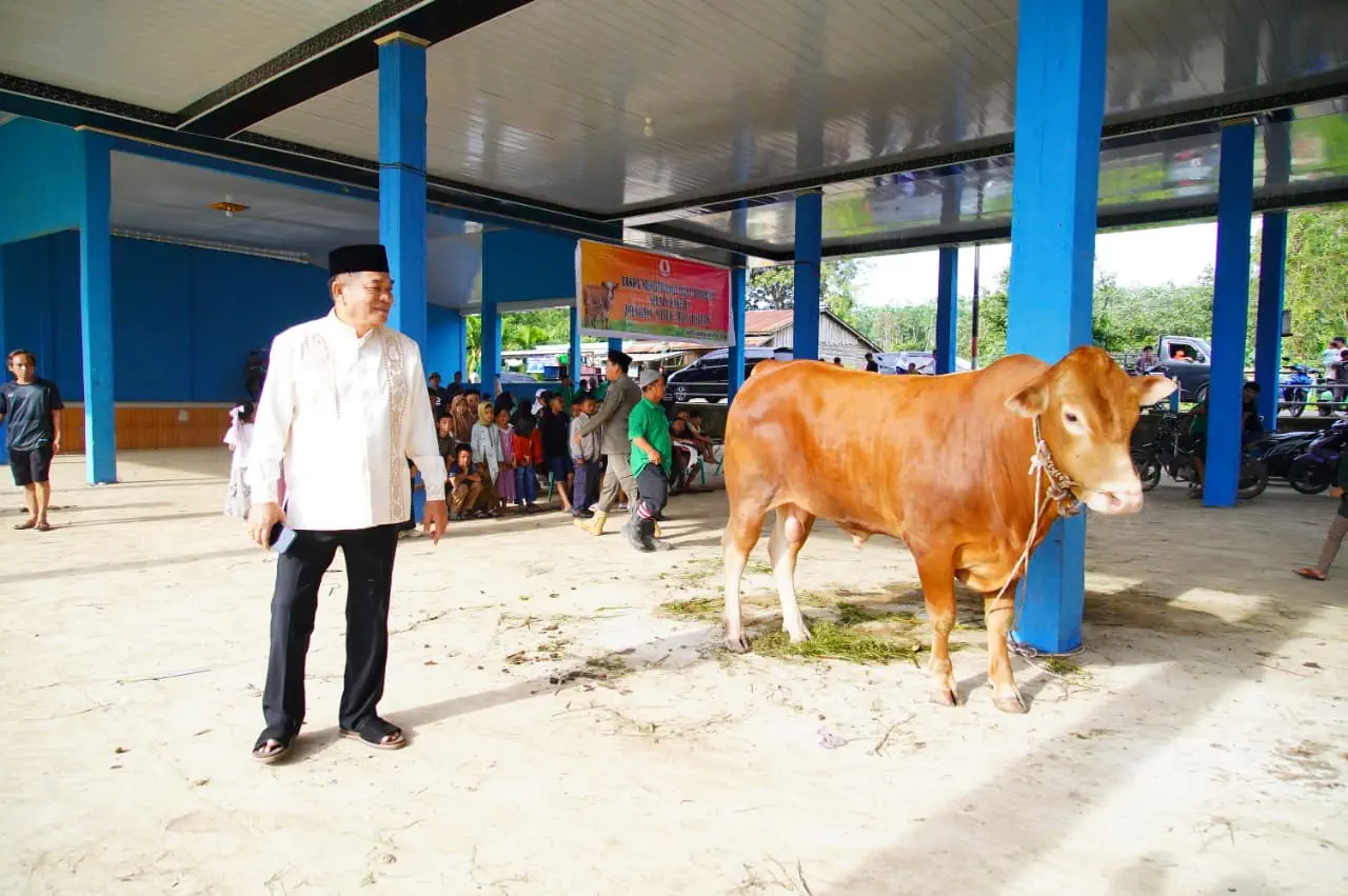 Bupati Muba Tinjau Penyembelihan Kurban di Sungai Angit, Dua Sapi Limosin Diserahkan untuk Warga