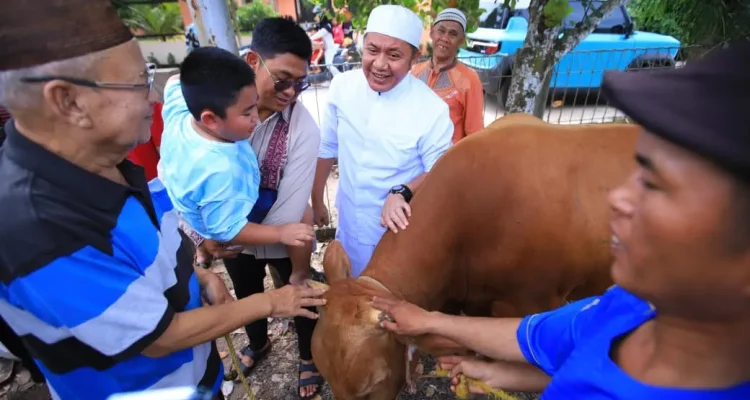 Gubernur Herman Deru Serahkan Hewan Kurban, Ziarah Keluarga hingga Kunjungi Wisata Religi Al Quran Raksasa di Hari Raya Idul Adha