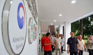 Hadapi El Niño, Indonesia dan Korea Perkuat Sistem Pengendalian Karhutla di OKI Hadapi El Niño, Indonesia dan Korea Perkuat Sistem Pengendalian Karhutla di OKI