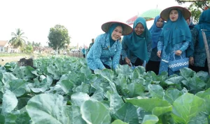 Ketua TP PKK Sumsel Feby Herman Deru Dorong Pemanfaatan Lahan Irigasi Jadi Sumber Ketahanan Pangan dan Penghasilan Keluarga Ketua TP PKK Sumsel Feby Herman Deru Dorong Pemanfaatan Lahan Irigasi Jadi Sumber Ketahanan Pangan dan Penghasilan Keluarga