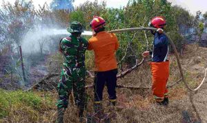 Karhutla Kembali Terjadi di Sekayu Muba, Dua Titik Seluas 3 Hektare Berhasil Dipadamkan
