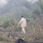 Prabowo Minta TNI Siapkan Tim Khusus Jangkau Titik Karhutla Sulit di Sumsel