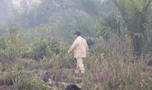 Prabowo Minta TNI Siapkan Tim Khusus Jangkau Titik Karhutla Sulit di Sumsel