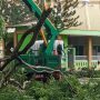 Pemkab Muba Gerak Cepat Amankan Siswa SMAN 2 Sekayu dari Ancaman Pohon Tua Rawan Tumbang