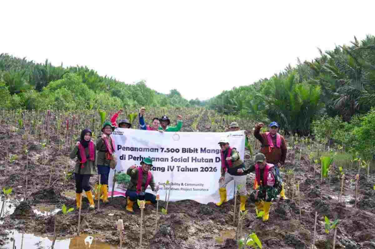 Kilang Plaju Perkuat Konservasi Lingkungan, dari Rusa Sambar hingga 21 Ribu Mangrove