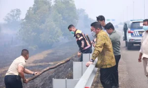 Gubernur Herman Deru Tinjau Karhutla di Tol Palindra, Minta Titik Api Segera Dipadamkan Gubernur Herman Deru Tinjau Karhutla di Tol Palindra, Minta Titik Api Segera Dipadamkan