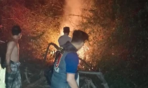 Respons Cepat Damkar Muba, Karhutla di Dekat Permukiman Petaling Berhasil Dikendalikan