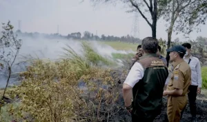 Karhutla Palembang Capai 297 Titik, Ratu Dewa Perkuat Respons Cepat di Lokasi Rawan