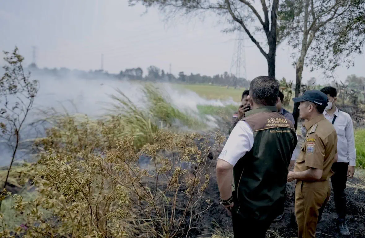 Karhutla Palembang Capai 297 Titik, Ratu Dewa Perkuat Respons Cepat di Lokasi Rawan
