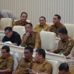 Cik Ujang Dorong Optimalisasi Lahan Rawa Sumsel Jadi Persawahan