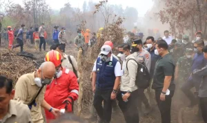 Sumsel berpeluang menjadi pusat pengembangan teknologi Realiza untuk penanganan karhutla. Herman Deru menyoroti potensi perkebunan tebu hampir 100.000 hektare. Sumsel berpeluang menjadi pusat pengembangan teknologi Realiza untuk penanganan karhutla. Herman Deru menyoroti potensi perkebunan tebu hampir 100.000 hektare.