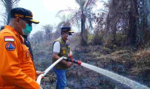 Tinjau Karhutla Muara Medak, Bupati Muba Toha Tohet Siapkan Embung di Kawasan Rawan Kebakaran