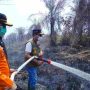 Tinjau Karhutla Muara Medak, Bupati Muba Toha Tohet Siapkan Embung di Kawasan Rawan Kebakaran